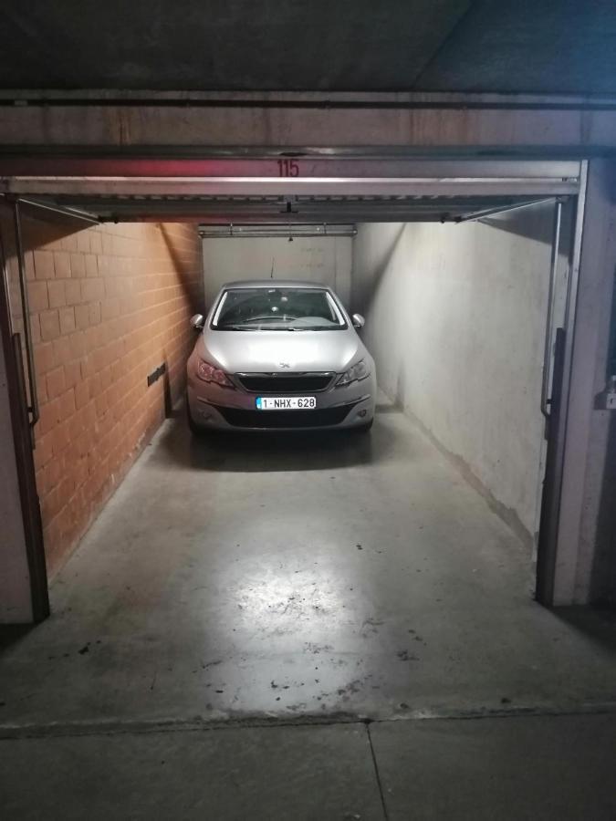 Marjolaine Zeezicht - Nieuwpoort-Bad Met Gratis Garagebox Apartment Bagian luar foto
